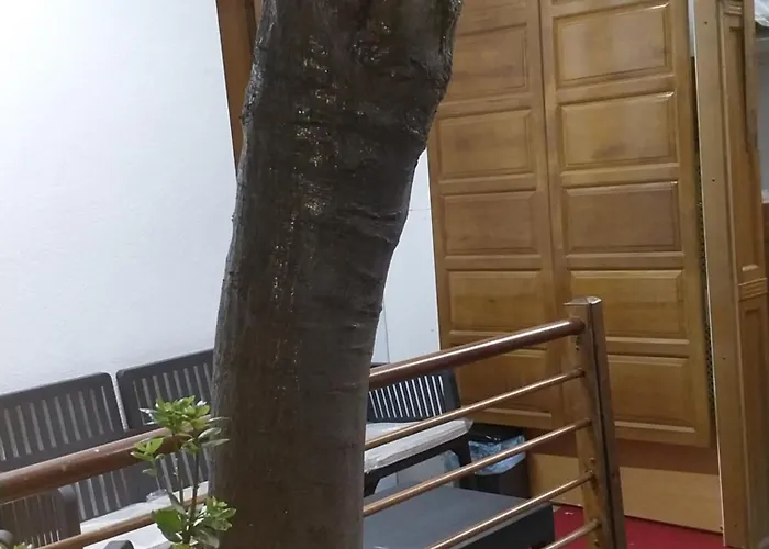 Mavi Koesk * اسطنبول